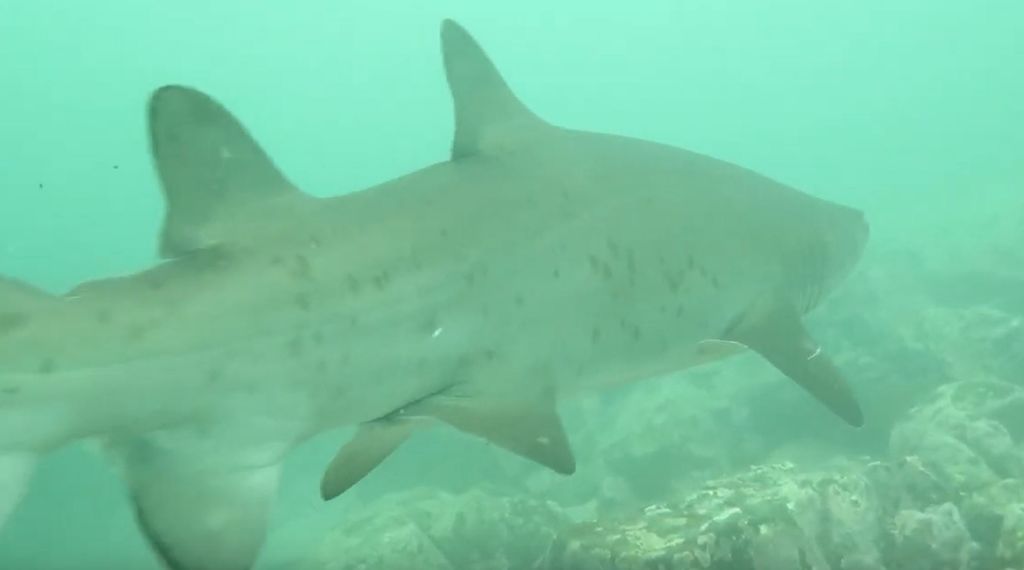 939f3c81-3342-4937-b010-e1b0a1b152ea