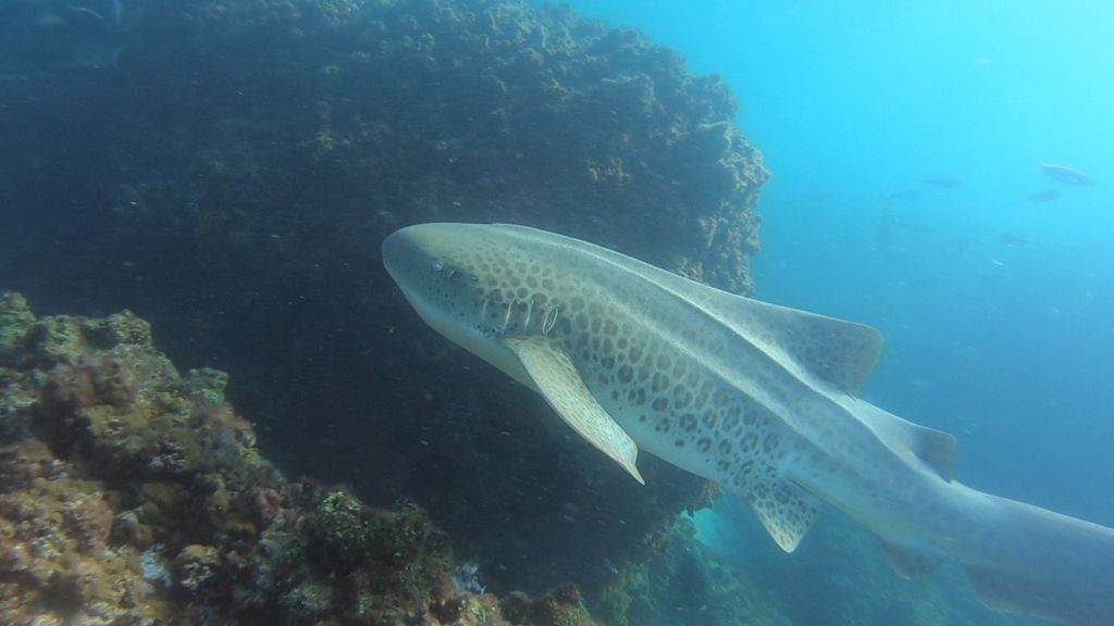 4415b99f-0809-44ba-91e7-fd5a77936008