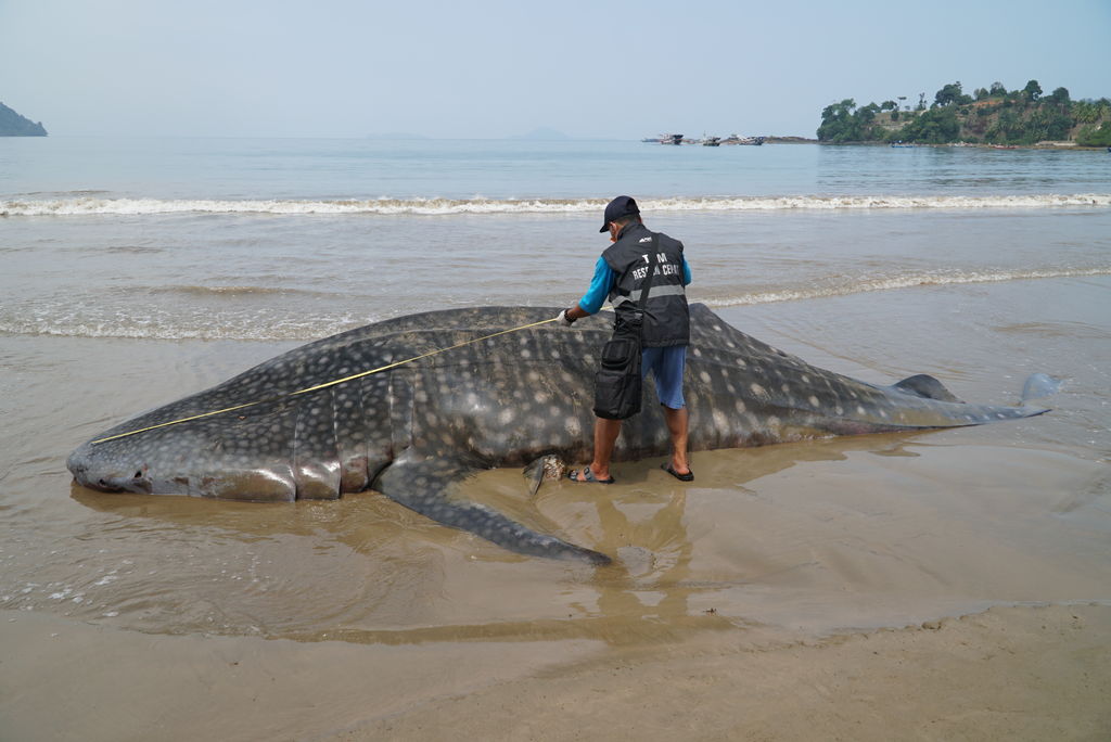 b45b2985-49bd-4ecf-921e-7fd542611037