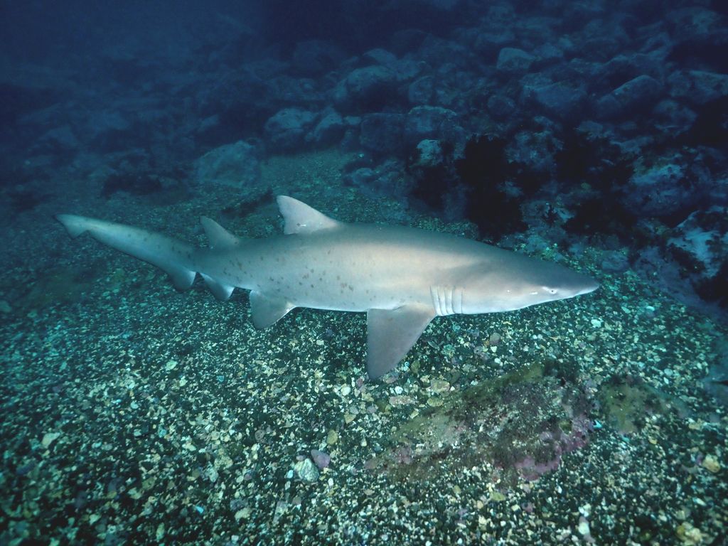 306f92c1-65d1-4f9b-b2d8-06f79fdd8b8e