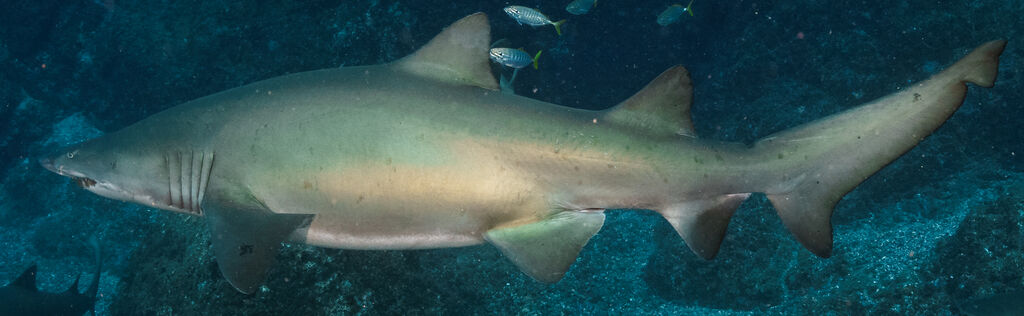 5df63dd8-f924-4ead-9b25-0cb2eca5f66e