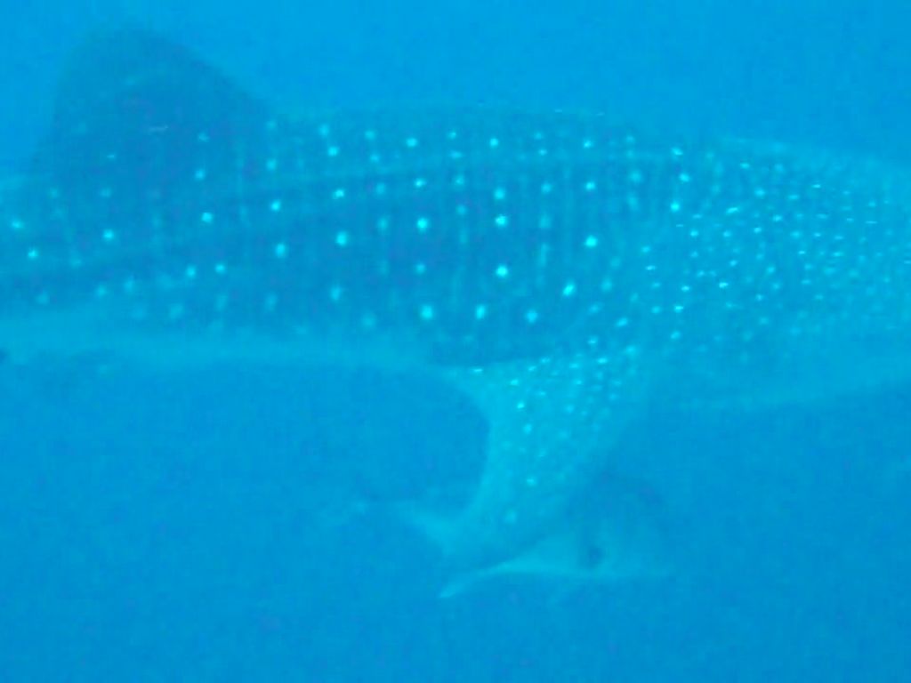 637ccb7c-f836-4cc0-b32a-9de1f1bd5416