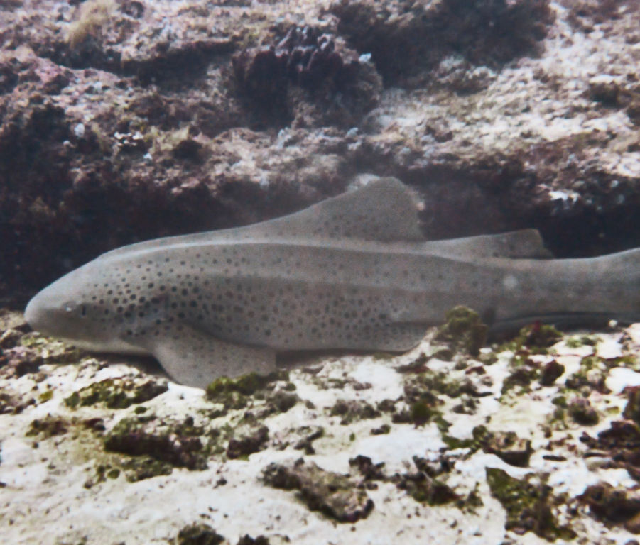 94809cba-49be-4f7c-9531-4d0b84d975e0