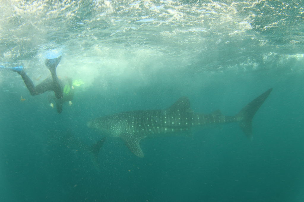 55c8fb39-7158-4ca9-bf85-419731fa9b07