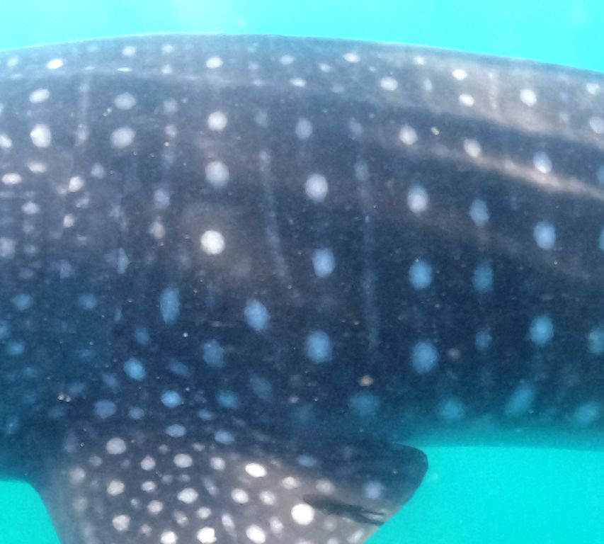 93fb803f-205b-405c-8579-8b34c1bda13d