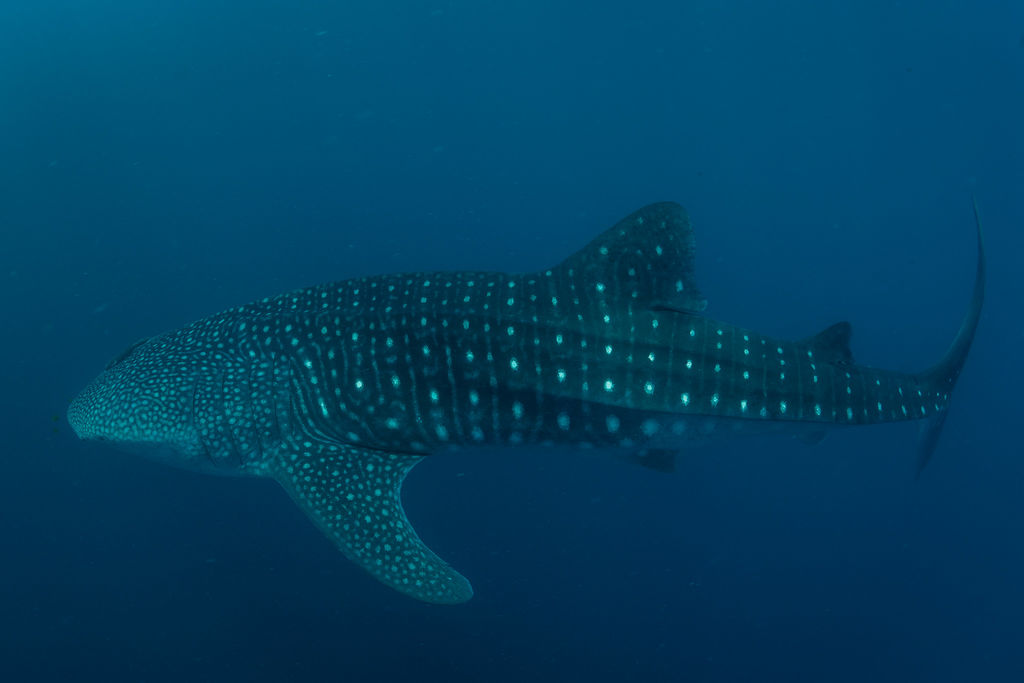 5f8163d0-1f69-4298-9bd3-a6d5a244fbe0