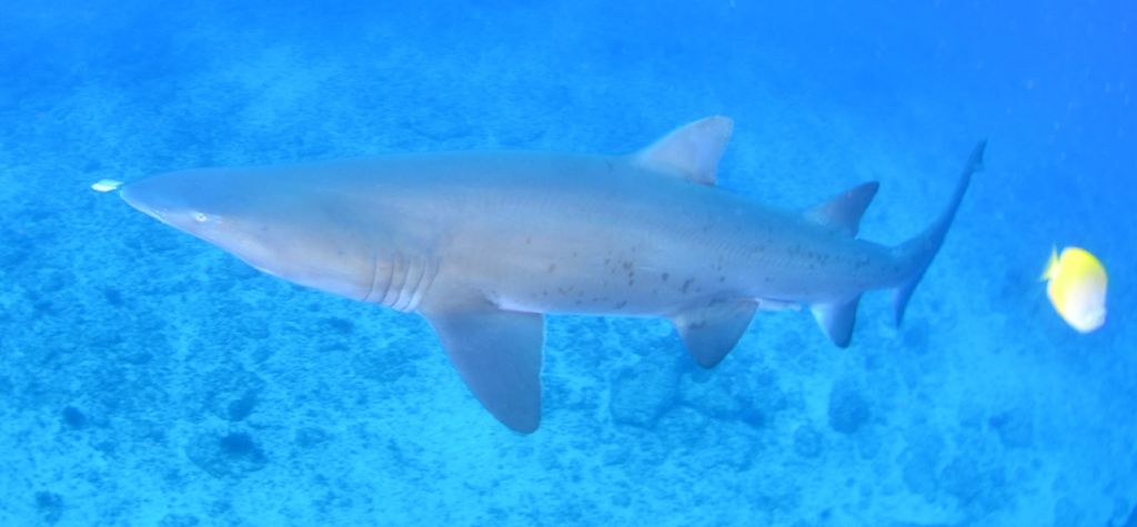 13816ede-c958-462d-84f0-c03e5eab7d07