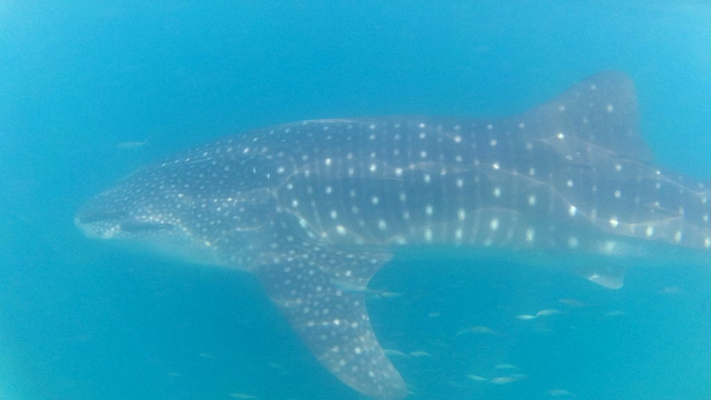 45bb42fe-4496-4839-b1c2-127d34ef4c0e