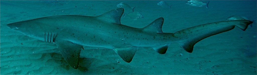 a86d41de-f027-468f-a624-34a980874745