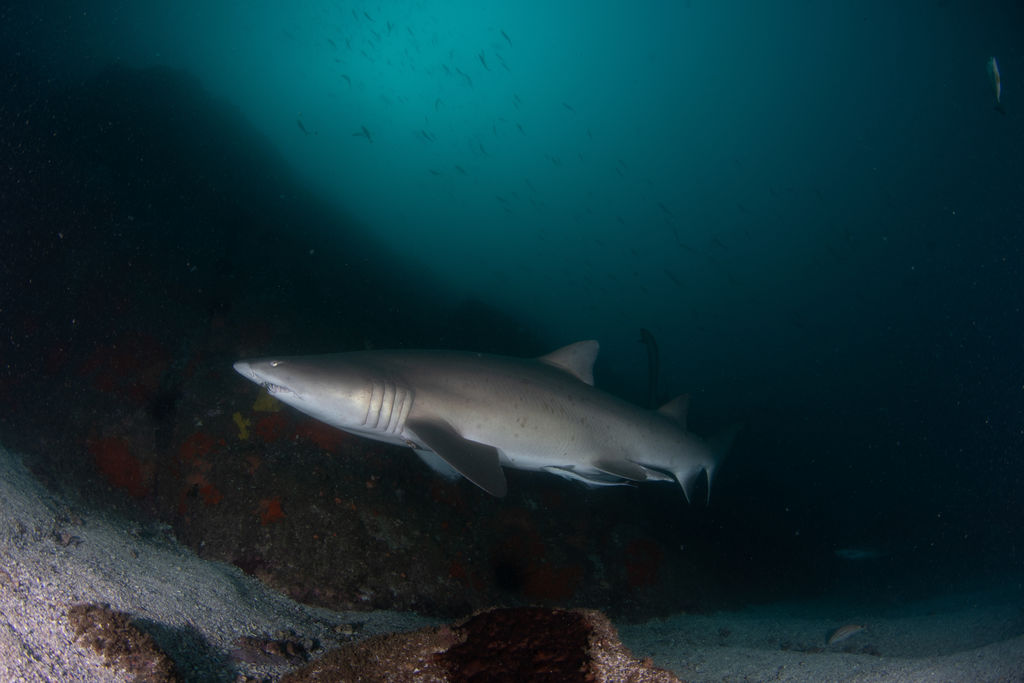 59273d75-cd41-4d71-be2f-e2f626a2acfd