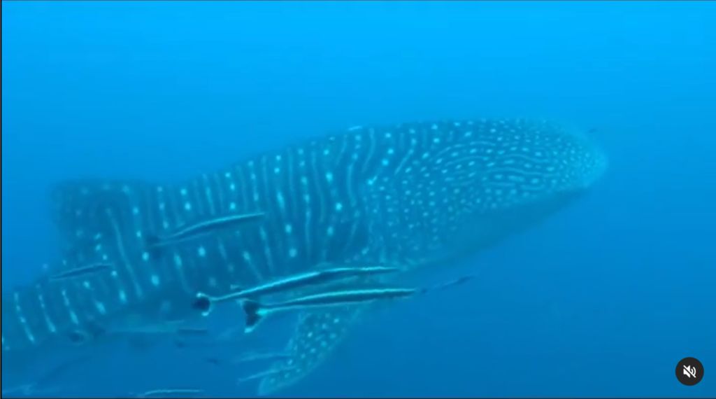 c4a49459-f0f8-4092-8845-4de29a5bad5a