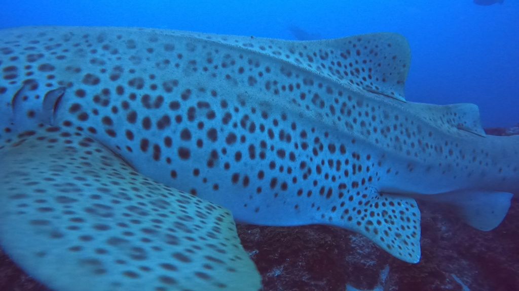 b36b7083-d3e7-41e3-99d2-d475acecd9f4