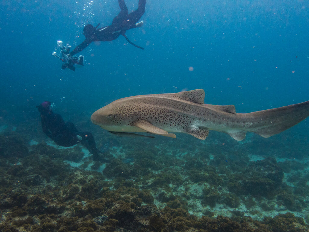 f88fc445-9677-4d7f-93a2-b9f3abc335ba