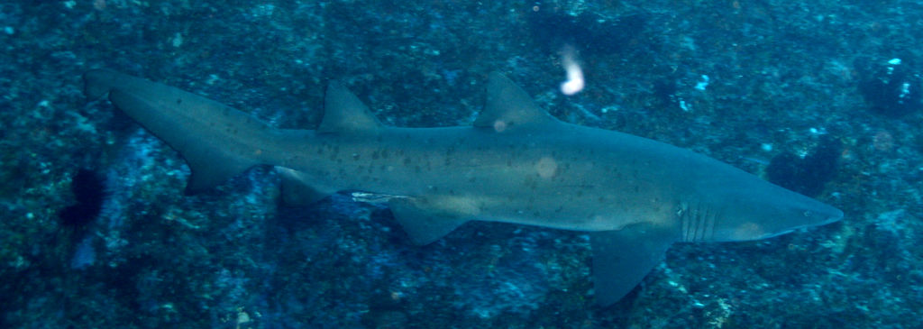 a0ce645e-546e-4fbf-97d5-498ccb4d451e