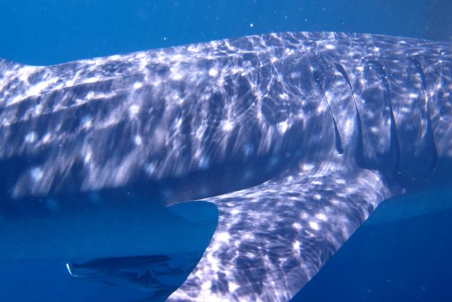 332e5f95-2240-42ff-8022-d7f0362291f8