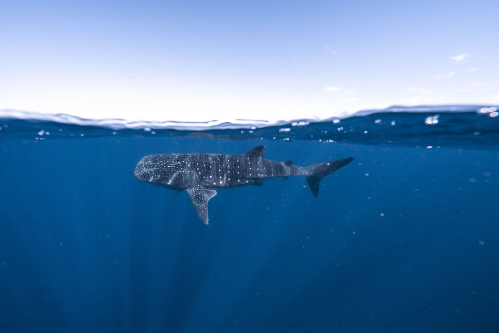 2ea42da6-8acb-481e-a842-06ba725c628d