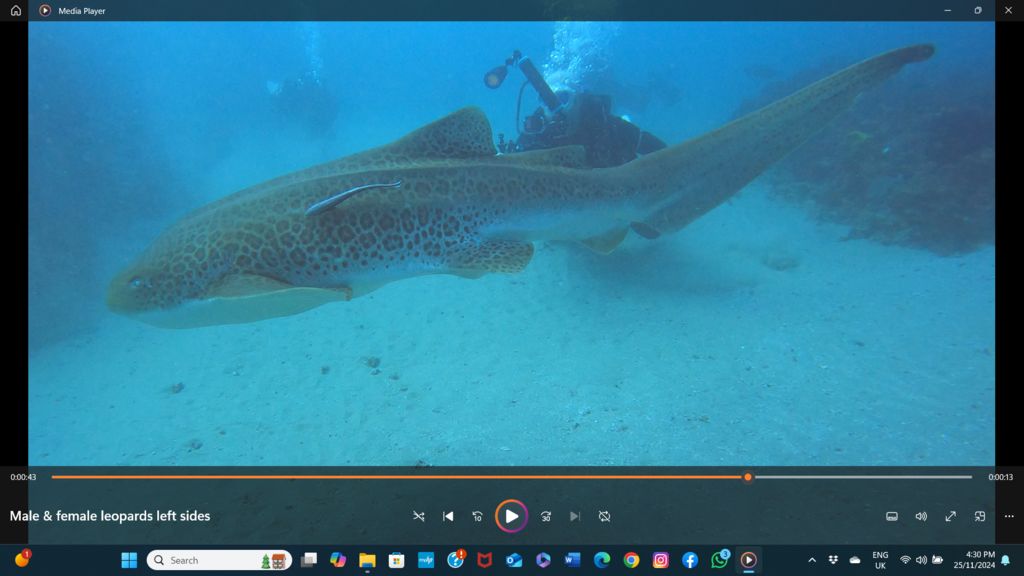 50df2b09-2869-4002-a78e-69ba8df70eb7