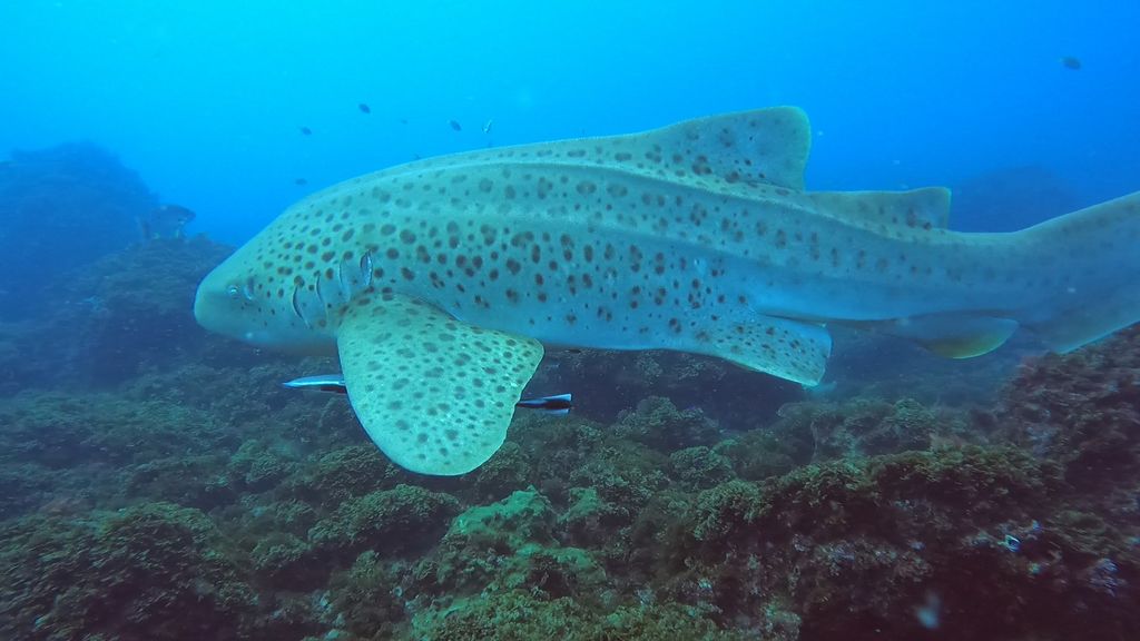 c7b1e7a4-38b0-46d1-8cc3-73570ad9913b