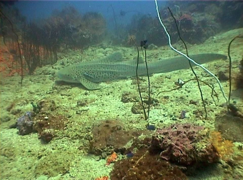 26ec0430-c662-4e4b-9468-20db6b2ee2c2