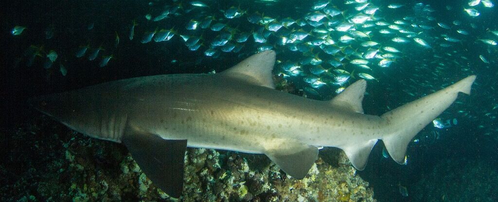 95f6b9e7-eaa1-4be4-a5ee-162bc062a873