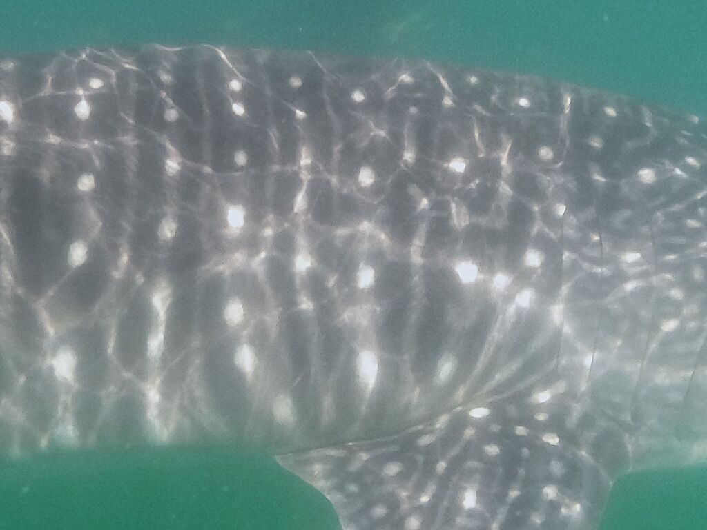 a5dd4cd0-1e8d-49f4-93a2-ab75d076a770