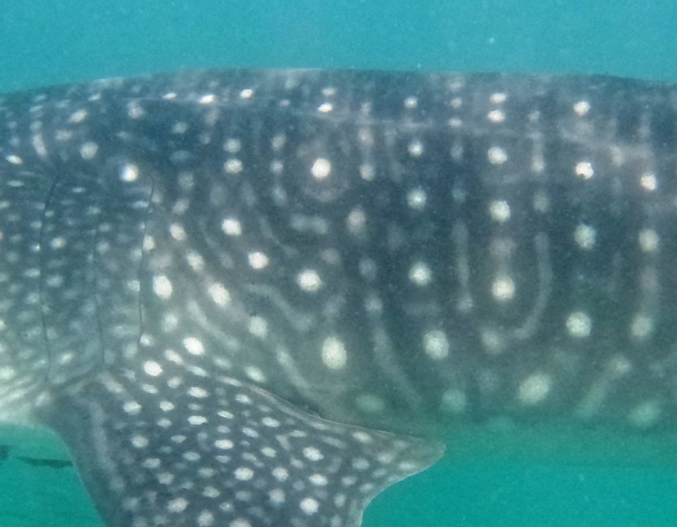 927f415b-ce50-4732-89d8-f0c333218ae2