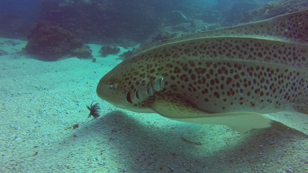 babafd66-6f2a-4440-b44a-244037f6f580