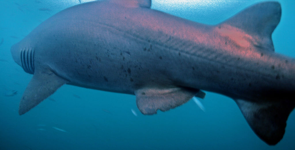 e1ad1e69-3972-40d4-a90d-7768f2931df6