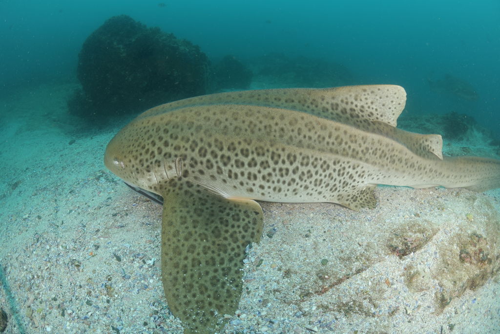 038d7119-ae49-4038-aa45-3df45a4db7fc