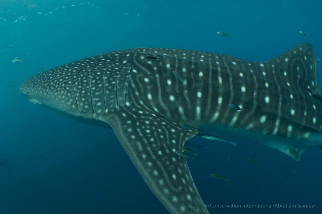 7ba0c6dd-ef80-44ba-aeb3-b46eadf4a6ec