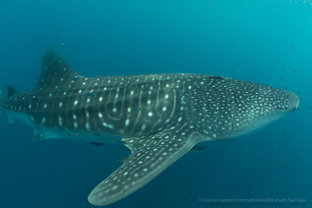 7ba0c6dd-ef80-44ba-aeb3-b46eadf4a6ec