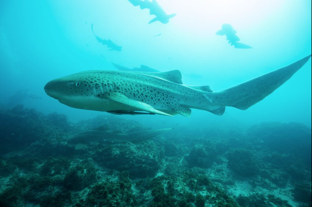 f721387a-6221-40e0-a448-70976ec5fd90