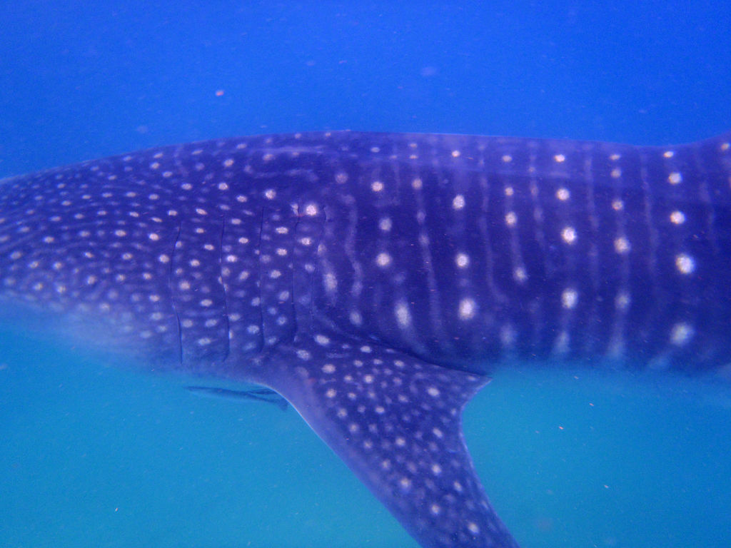 6f2394d9-d1be-4f5c-a23d-a42eb270510e