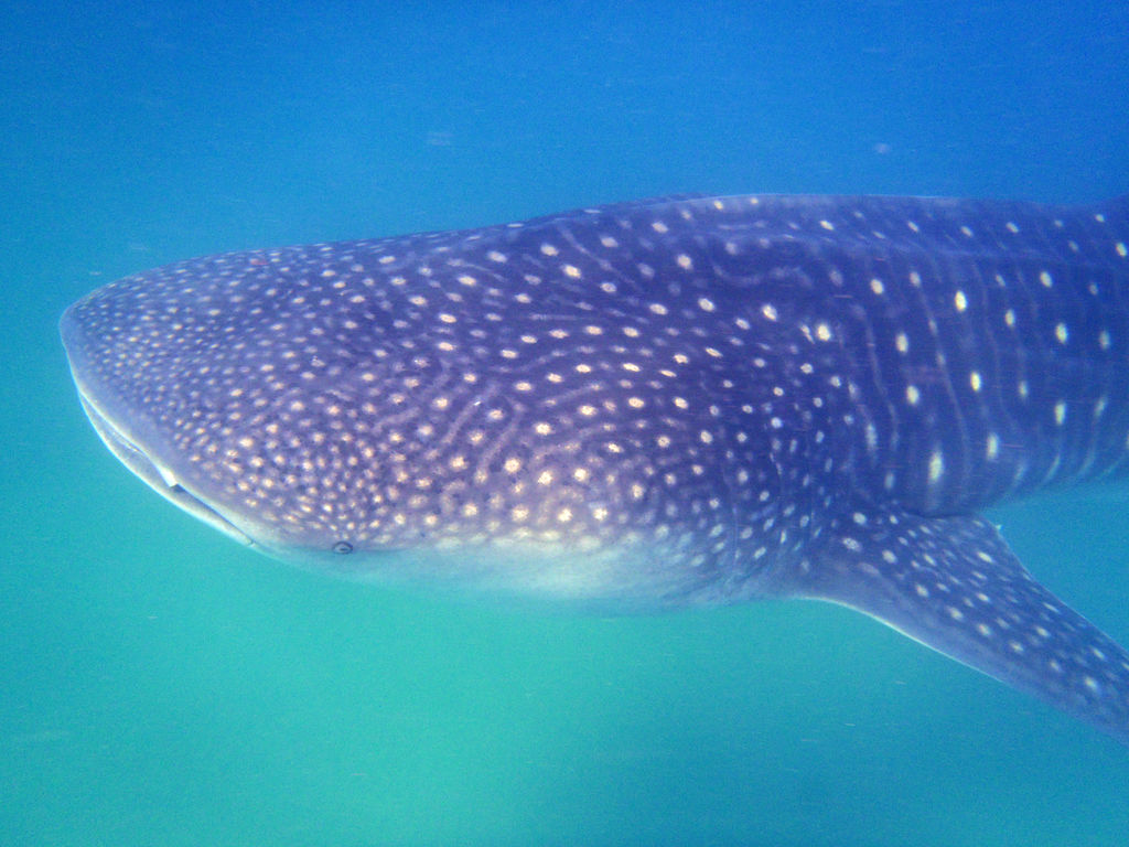 6f2394d9-d1be-4f5c-a23d-a42eb270510e