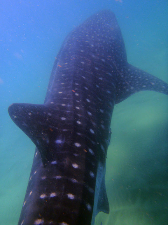 6f2394d9-d1be-4f5c-a23d-a42eb270510e