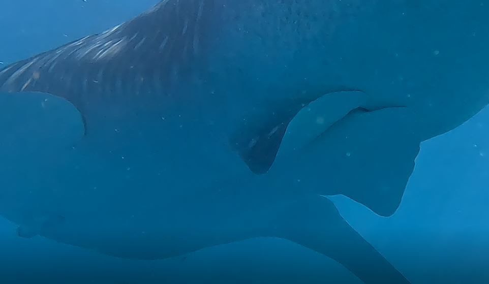 1c712fa3-2b4c-4b32-a024-7336d3ceeba0