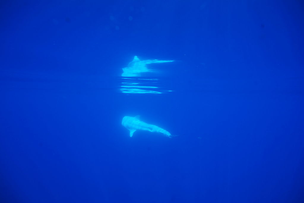 aee7c448-89ea-4a25-9b5d-1eebd78c1092