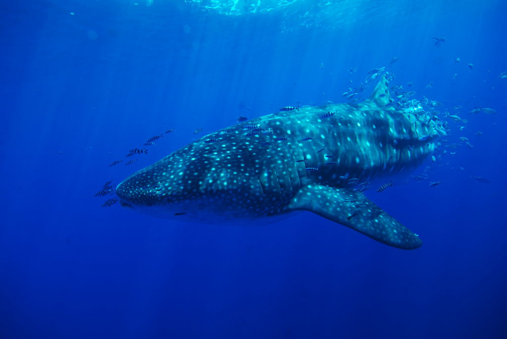 aee7c448-89ea-4a25-9b5d-1eebd78c1092