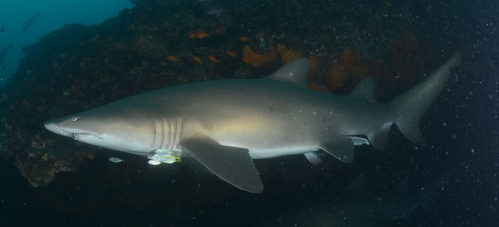 68c46375-deab-4154-abba-c41ecf2b3ac8