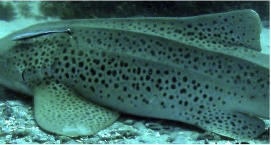 8f532bc2-2e0a-468f-b963-ce54a70792ef