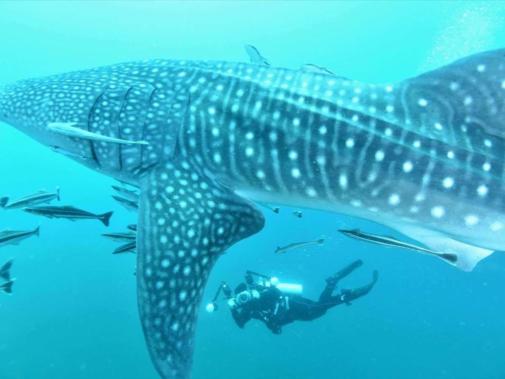 7c513909-ce1d-4ed7-8083-f19ce662cf98