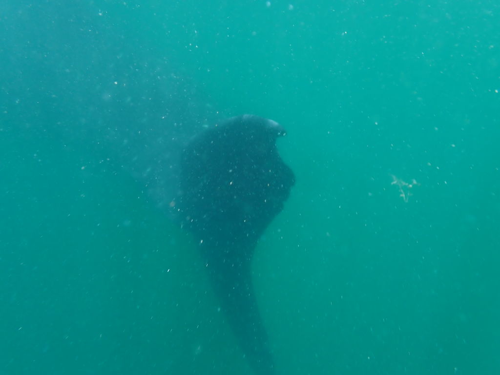 47074094-8094-4e92-9496-3d5ac6467e16