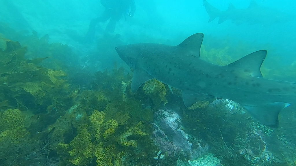 772e9d6f-422a-4278-95b7-93c15fad04e8