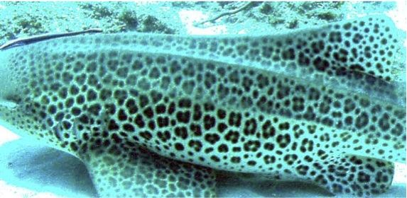 69fb10c3-553e-4f5f-a723-25336096c85f