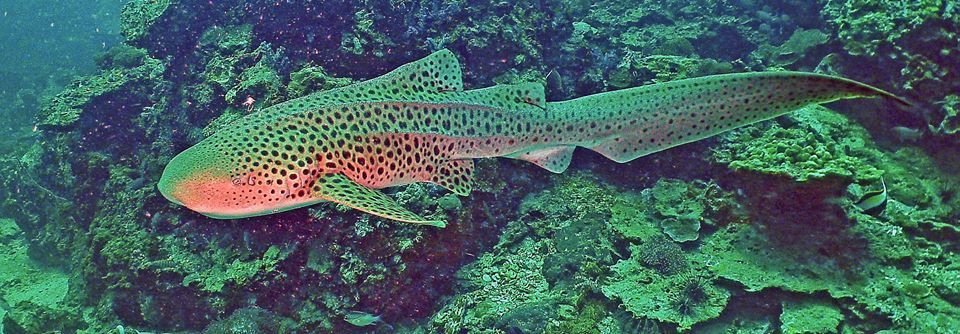 93534131-bdd9-4c31-adca-e353a3de25f1