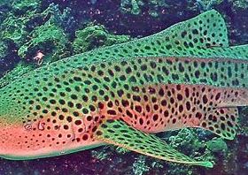 93534131-bdd9-4c31-adca-e353a3de25f1