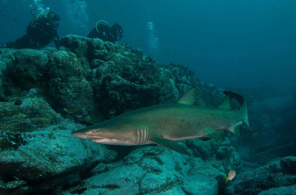 ecf537e7-959d-4136-bd07-1ba21cca6a49