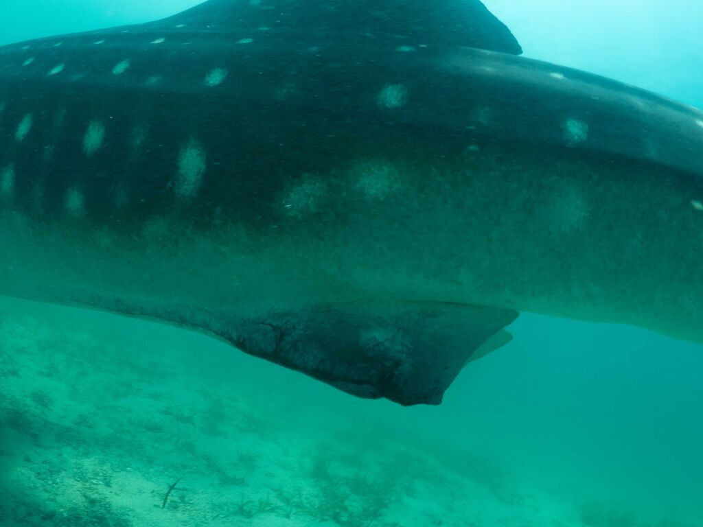 2cc968d7-3098-4a58-a012-f946423a5ee5