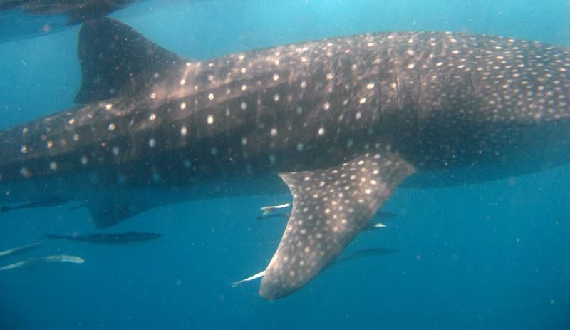 dfdf8923-1fb3-4d32-b2c4-fda7aaeb2d29