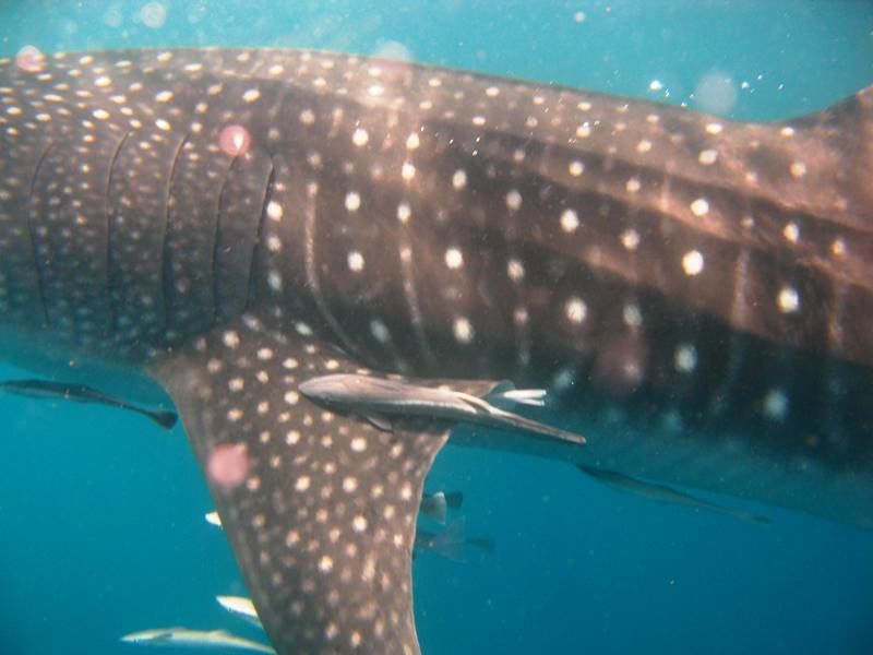 dfdf8923-1fb3-4d32-b2c4-fda7aaeb2d29